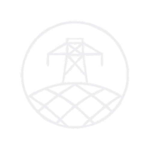 Deutsche Stromnetzprüfung Logo